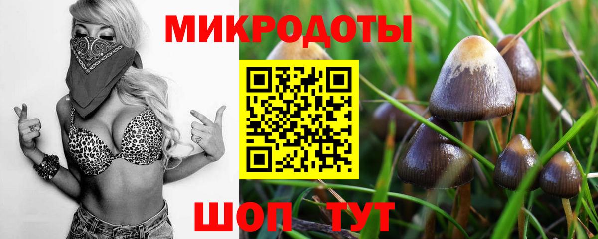 Карталы  Псилоцибиновые грибы GOLDEN TEACHER  цена   Вход с VPN 